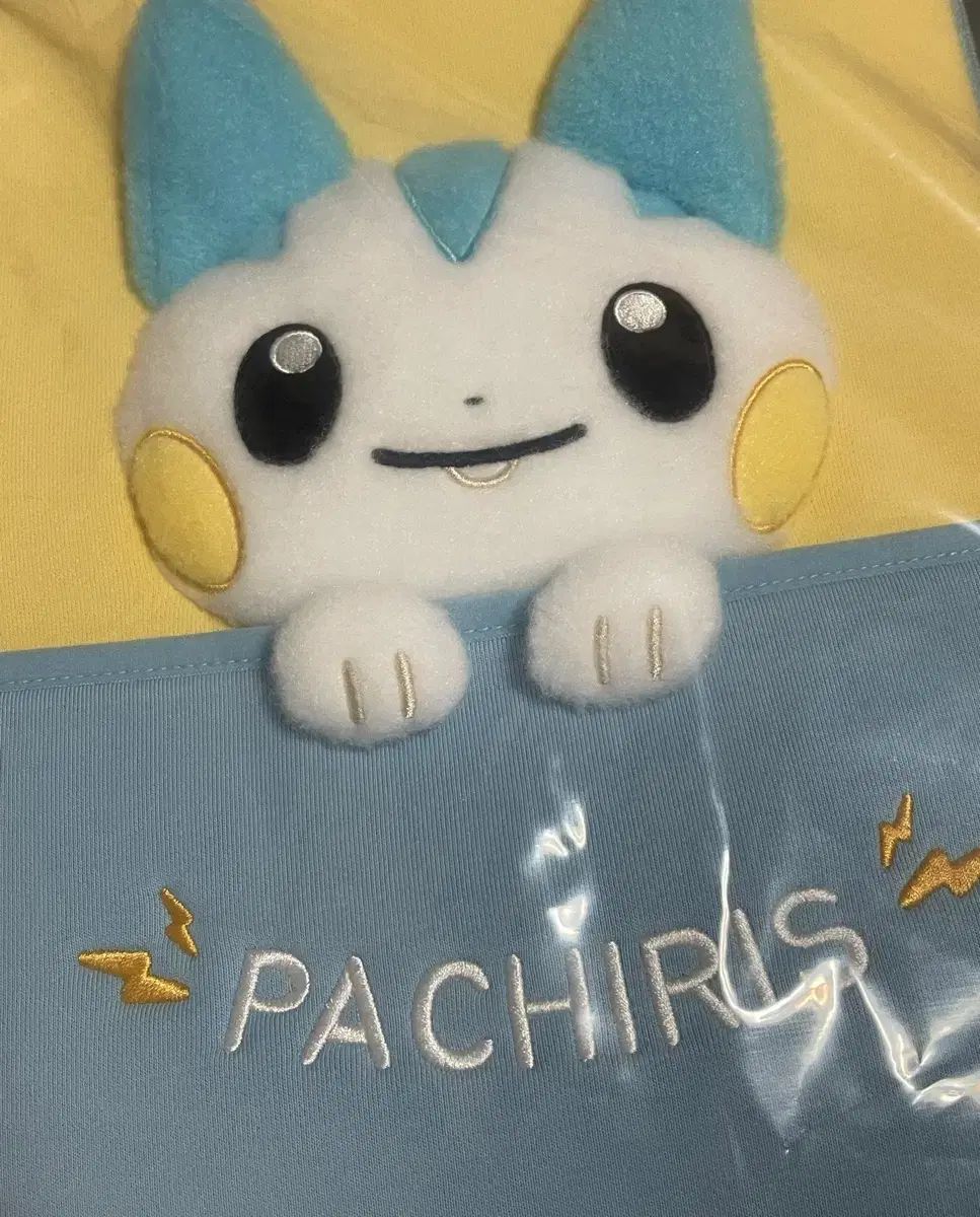 ポケットモンスター メタモン ポップアップ パティエリ マルチ ポーチ