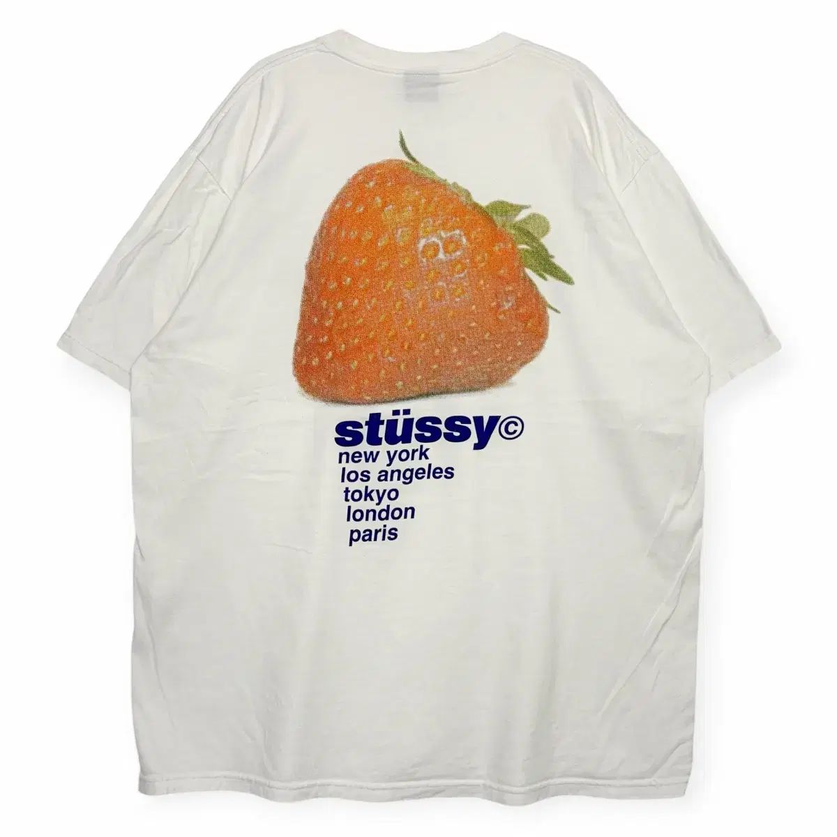 STUSSY ストロベリー 半袖 Tシャツ