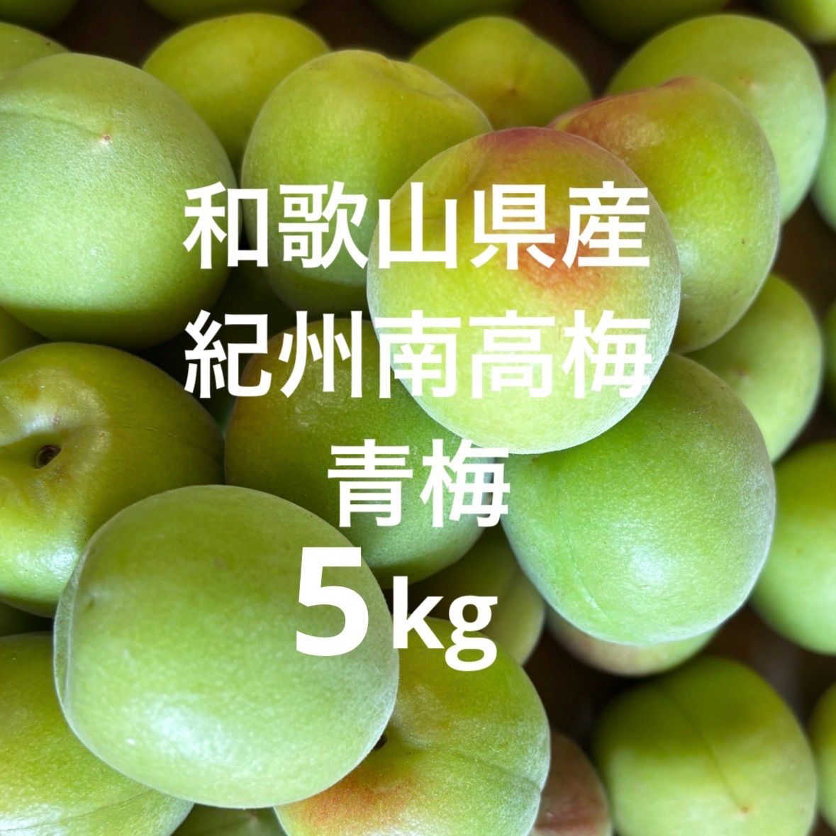 紀州南高梅 5kg △産地直送 紀州南高梅5kg 梅 無添加
