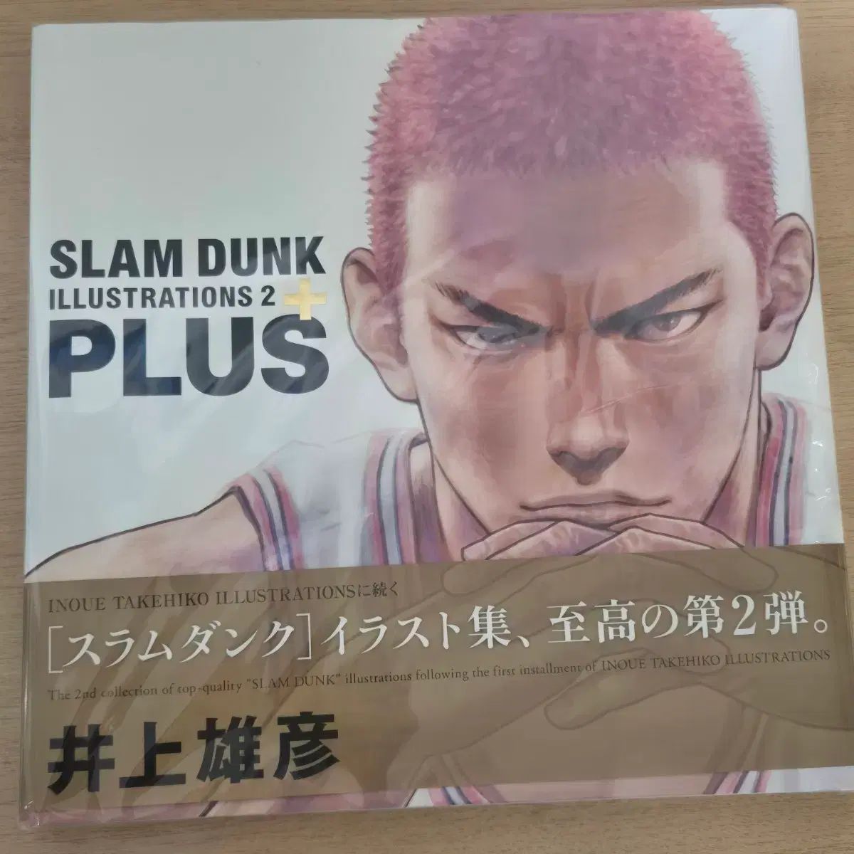 SLAM DUNK (スラムダンク) イラスト写真集 2