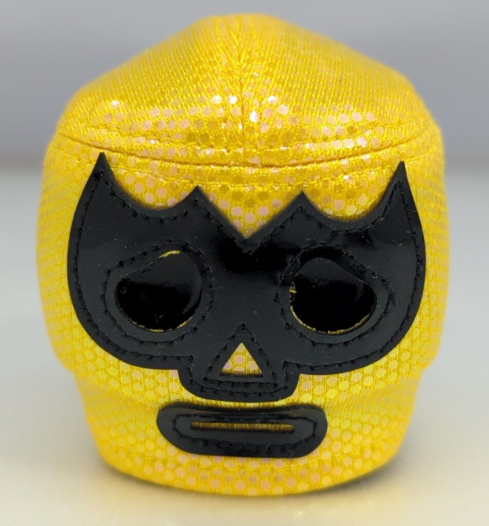 REALHEAD ボクトウ刺繍 ルチャマスク ドクロマニマニヨン頭付　(黒成型)