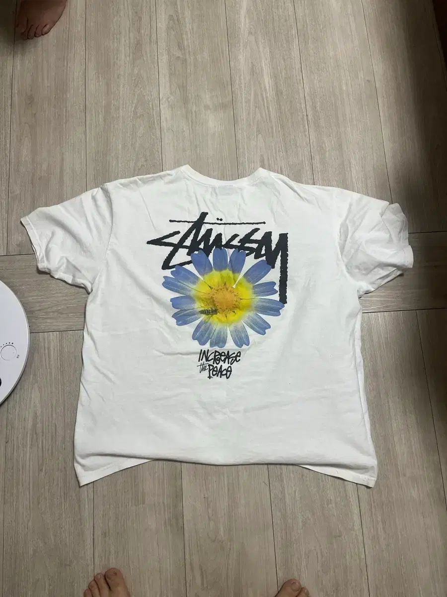 STUSSY 白 カラーTシャツ 日本