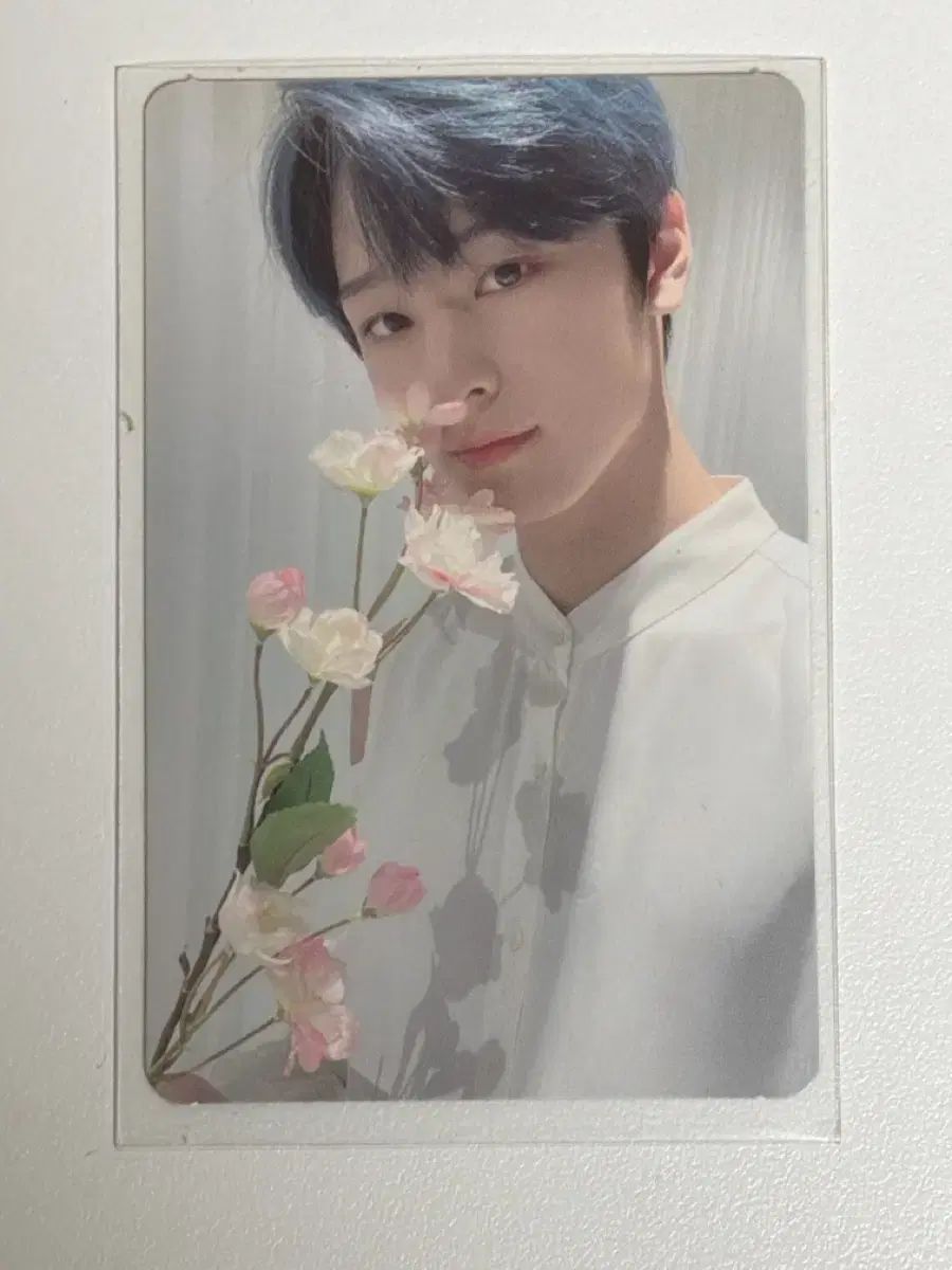 THE BOYZ(ザ・ボーイズ・ドボイズ) ジュヨン(JUYEON) BOOK(ブック) ランプ ONE(ワン) ドンウォンギョン(桃源鏡) トレカ