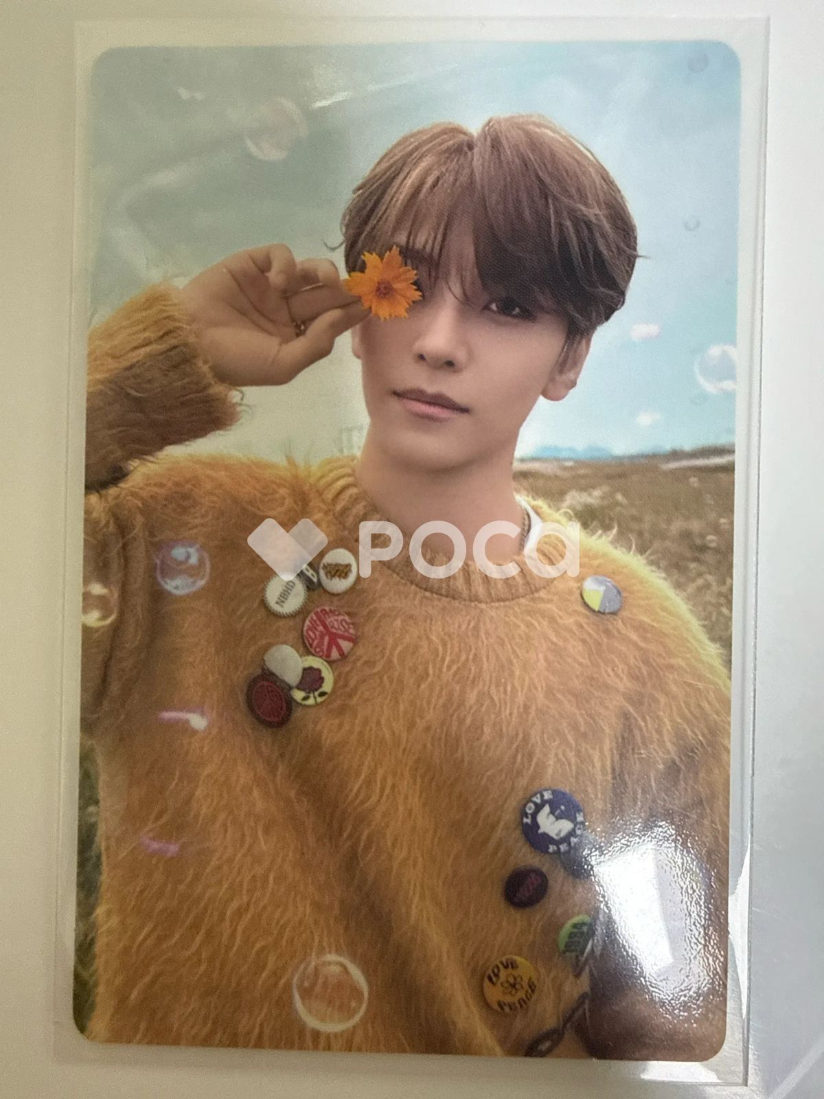 ALPHA DRIVE ONE シンロン EUPHORIA RANDOM TRADING PHOTO CARD SET