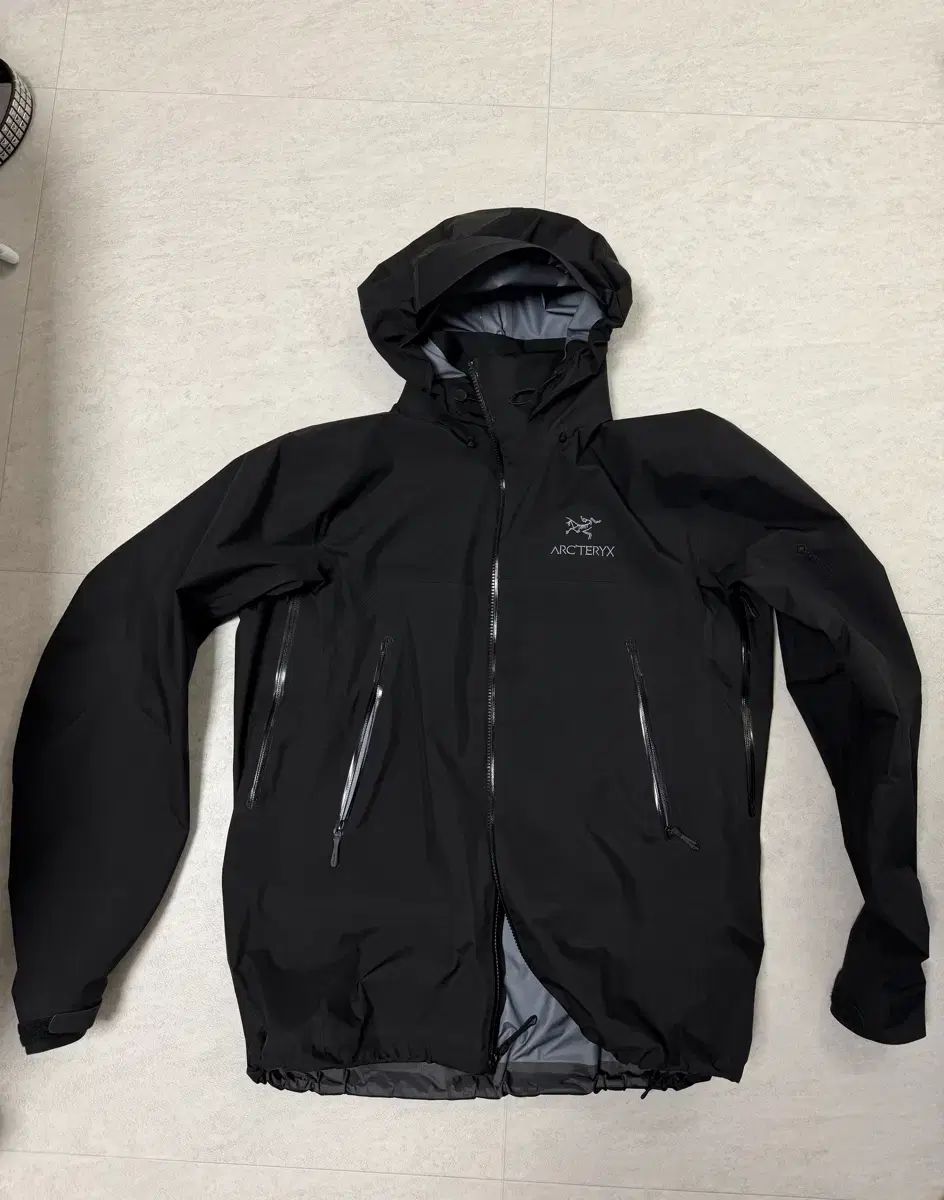 ARC'TERYX アークテリクス ベータ AR Lサイズ