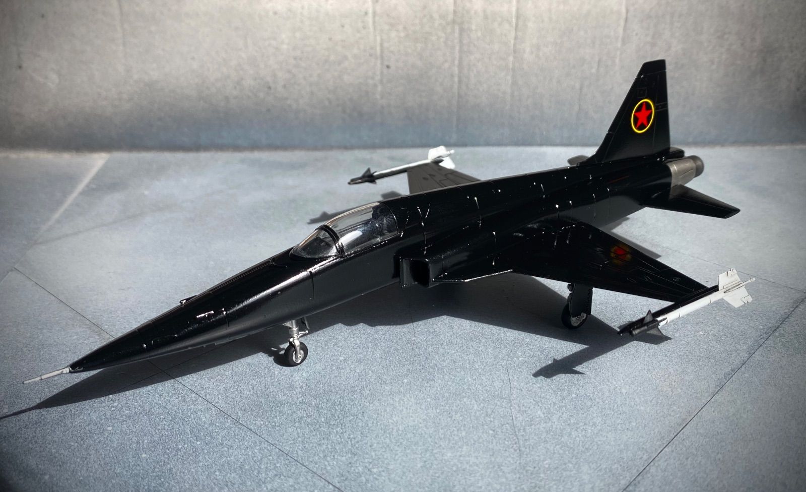 1/72 完成品 童友社 F-5A トップガン(Mig28)風 岩国基地 厚木基地 フレンドシップデー