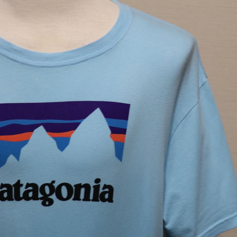 パタゴニア】Tシャツ メンズ L サックスブルー アメリカ製 P-6ロゴ