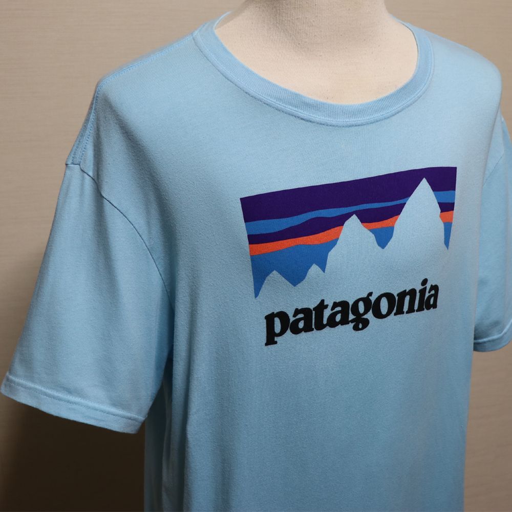 パタゴニア】Tシャツ メンズ L サックスブルー アメリカ製 P-6ロゴ