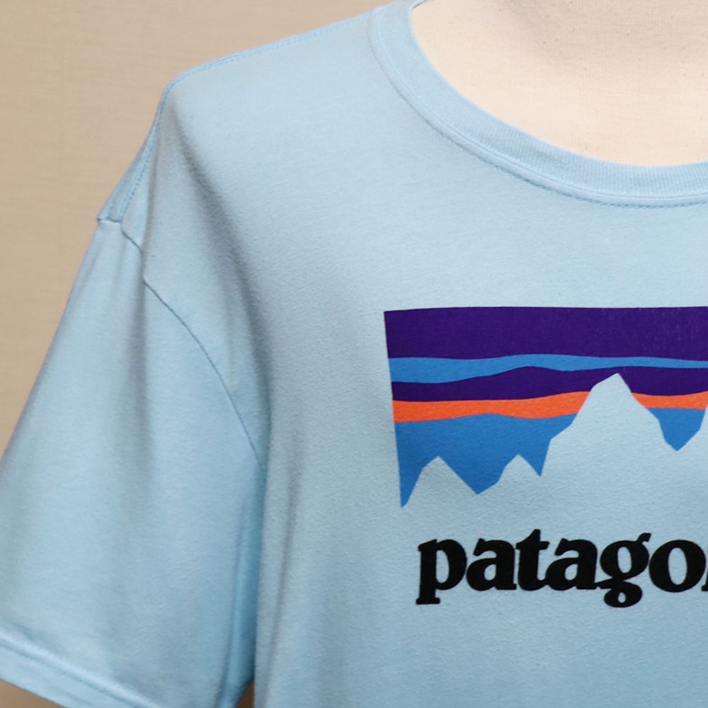 パタゴニア】Tシャツ メンズ L サックスブルー アメリカ製 P-6ロゴ