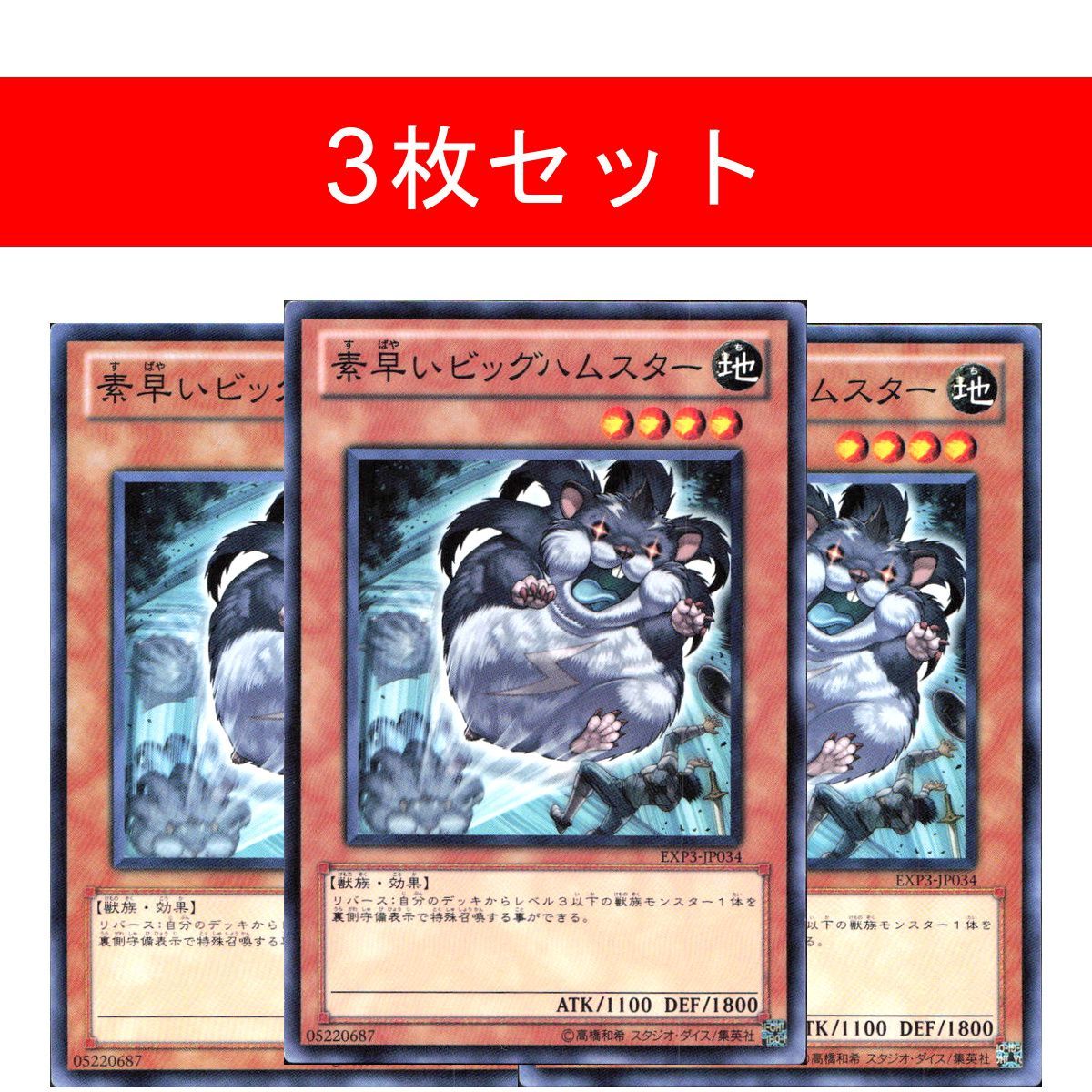 素早いビッグハムスター【3枚セット】 - メルカリ