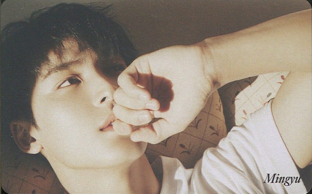 SEVENTEEN Your Choice MINGYU トレーディングカード - メルカリ