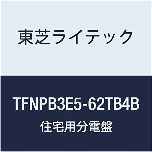 新品 東芝ライテック 小形住宅用分電盤 Nシリーズ エコキュート(電気温水器) 40A + IH オール電化 50A 6-2 扉なし 機能付 TFNPB3E5-62TB4B