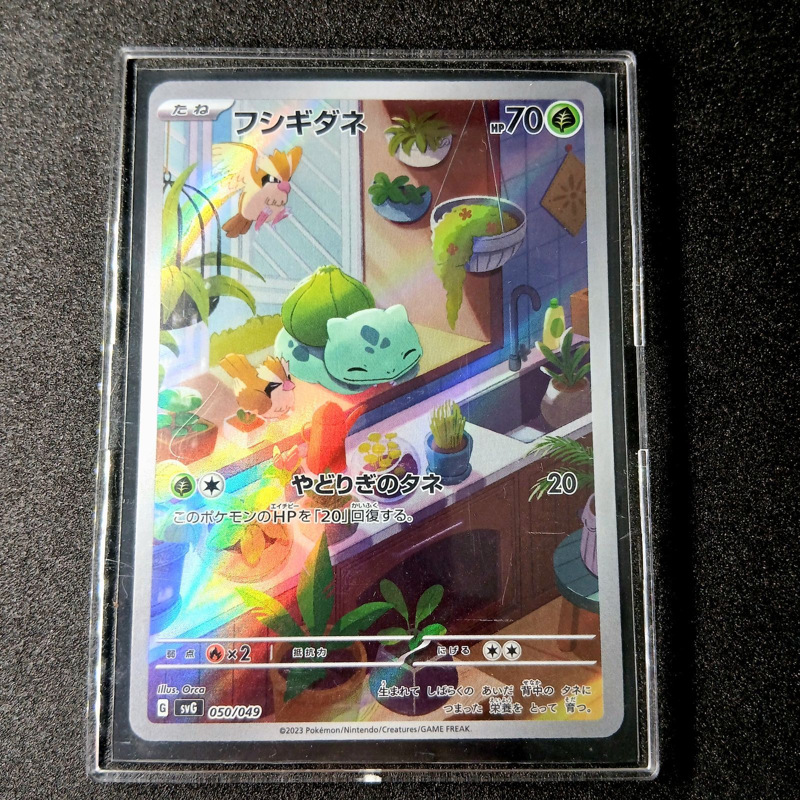 フシギダネ BULBASAUR SYG 050/049 ポケモンカード フシギダネ :フルイラスト [SVG 050/049](スペシャルデッキセットex