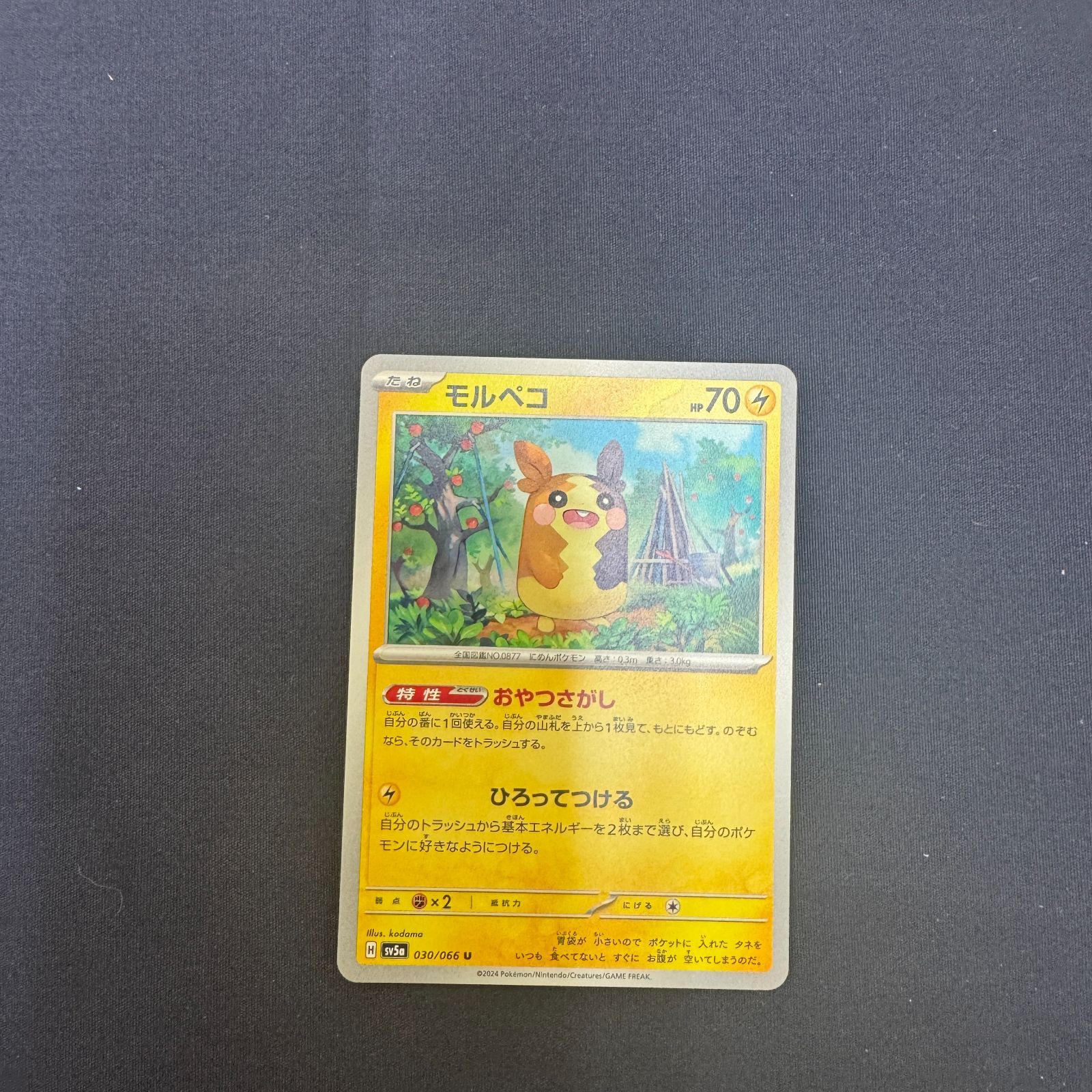 P100407(かみなり) ポケモンカード モルペコ 100枚 まとめ売り pokemon
