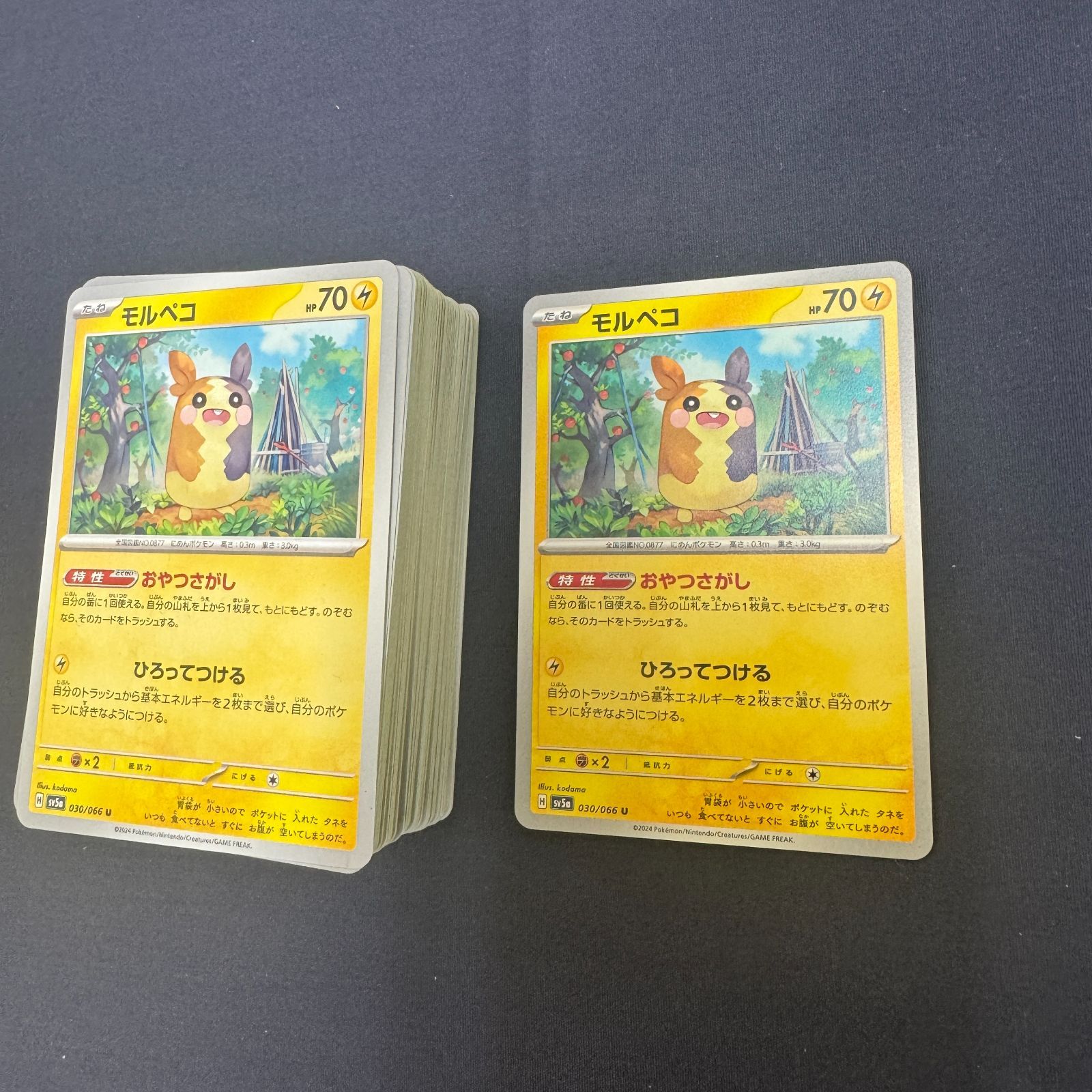 P100407(かみなり) ポケモンカード モルペコ 100枚 まとめ売り pokemon