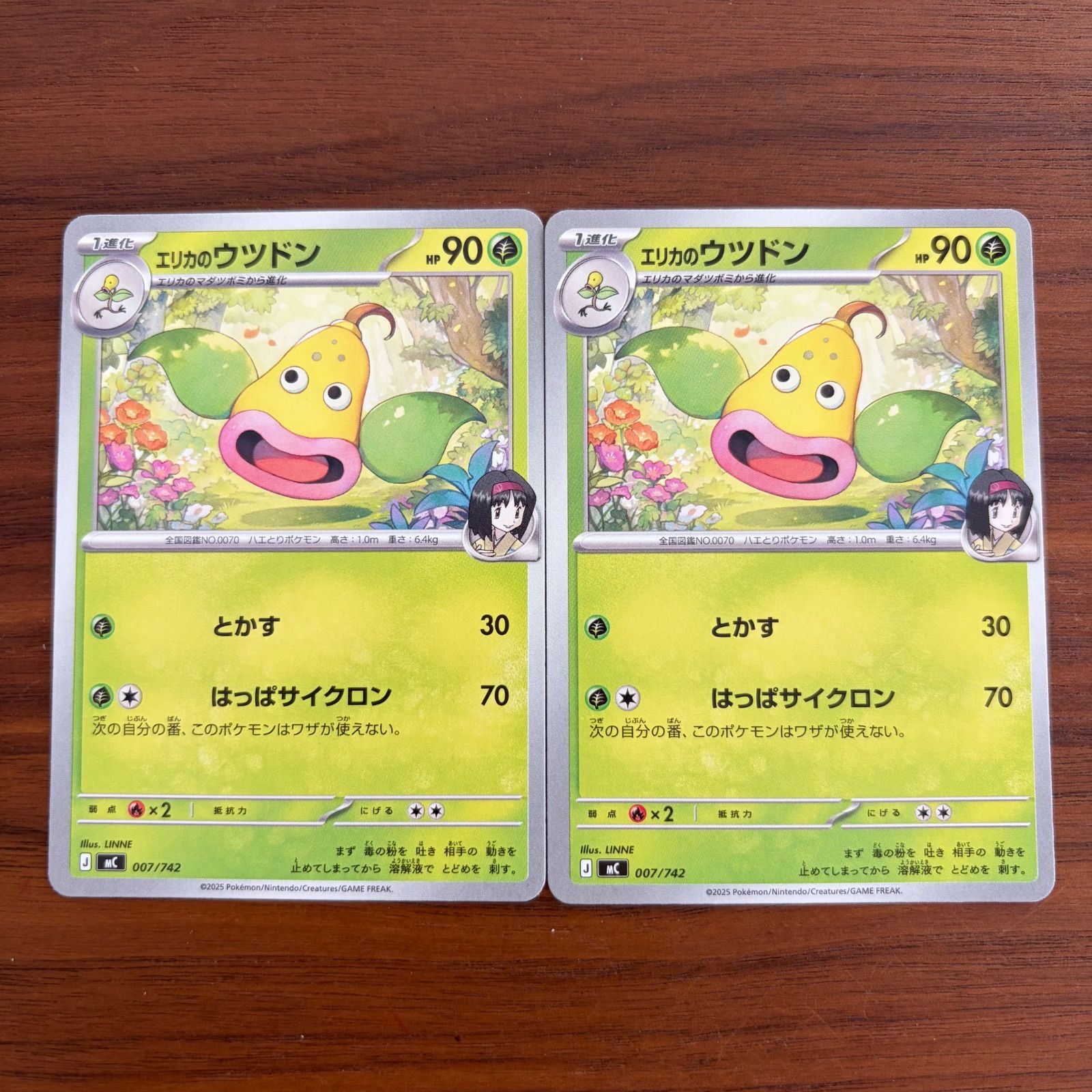 未使用 ポケモンカードゲーム ポケカ MEGA スタートデッキ100バトル