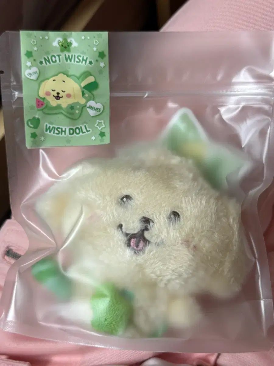 未開封 WIND AND WISH ドール 댕트リーバー NCT(エヌシーティー) WIND AND WISH