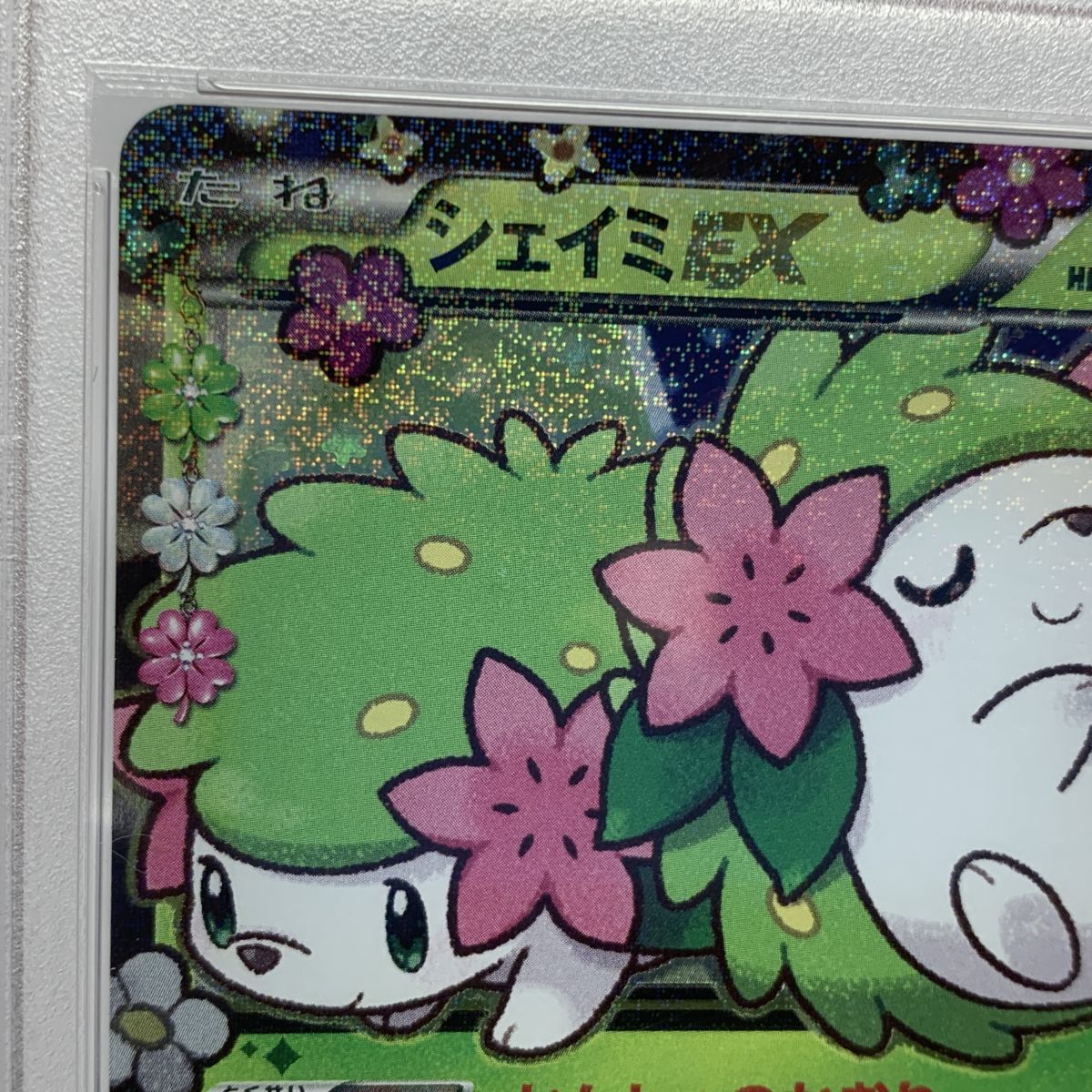 PSA10】ポケモンカード シェイミEX 212/XY-P プロモ プレミアムポケ