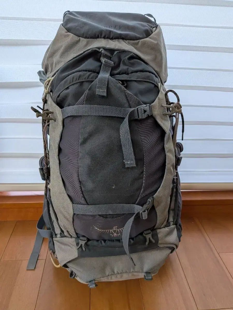 オスプレイ(OSPREY) アリエル 65AG 登山リュック