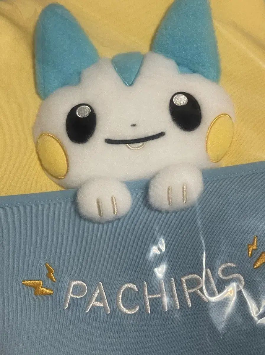 ポケモン メタモン ポップアップ ポーチ リス マルチ ポーチ