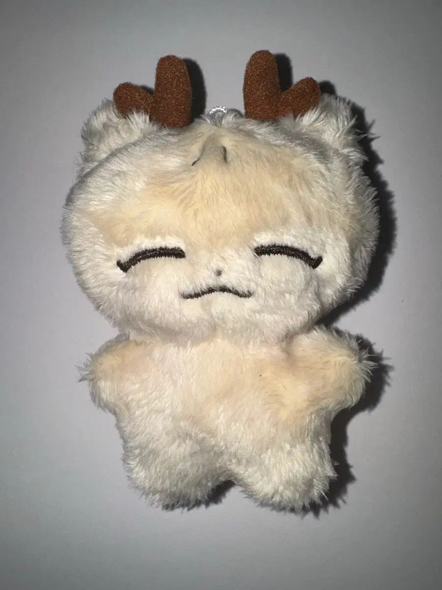 SEVENTEEN ジョシュア(JOSHUA) ぬいぐるみ ぬい