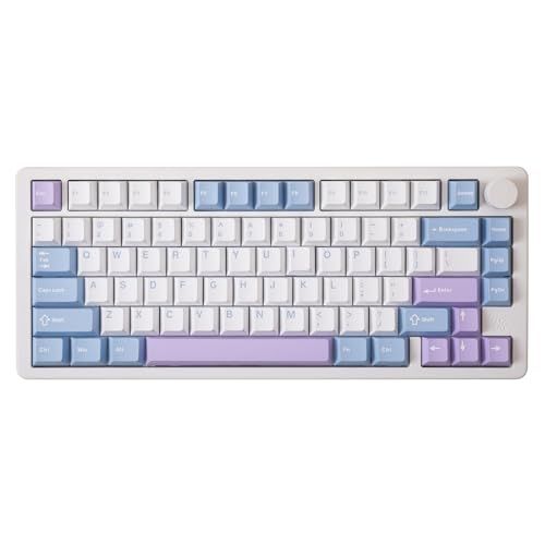 【新品】GK GAMAKAY TK75PRO 75% アルミ 筐体 キーボード KTT Hyacinth Switch プログラマブル ガスケットマウント 81キー 2.4GHz/BT5.0/USB-C ホットスワップ対応 NKRO RGB b19e9dcd