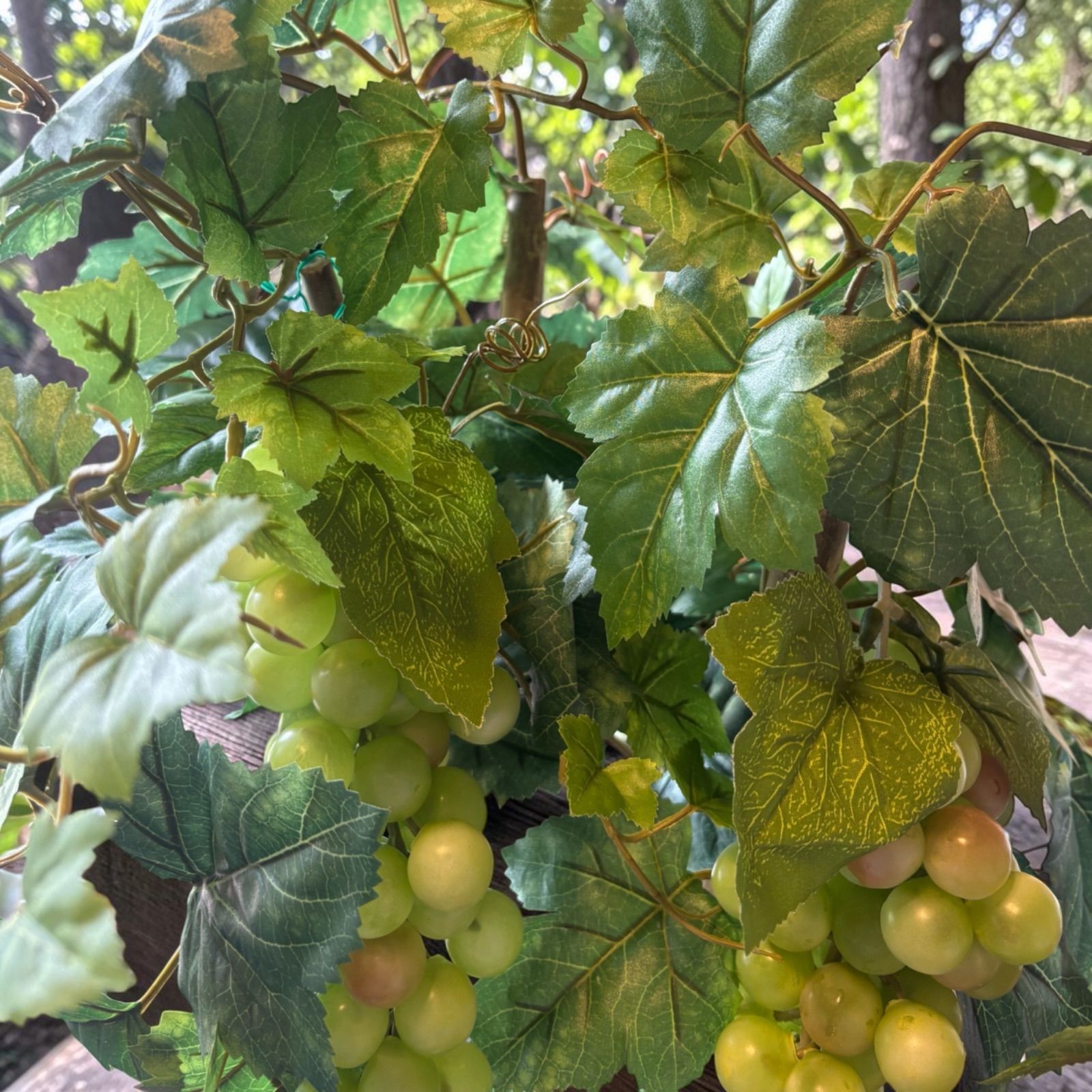 光触媒　人工観葉植物　ウォールグリーン　造花　アレンジ　マスカットブドウ 光触媒 人工観葉植物 ウォールグリーン フェイクグリーン シャイン