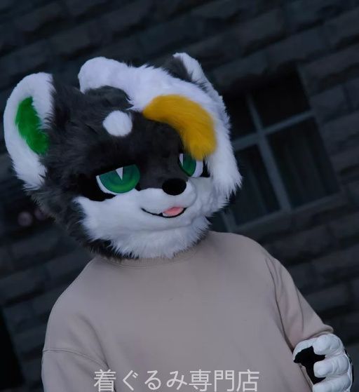 犬　猫　着ぐるみ ヘッド全頭　ヘッド ケモノ ファースーツ ぬいぐるみ コスプレ コスチューム Kurumi 一点物 C311