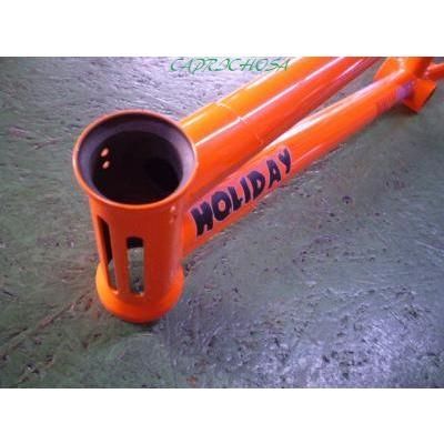 BMXフレーム ☆ JUNGLE RIDER HOLIDAY FRAME 台座あり - メルカリ