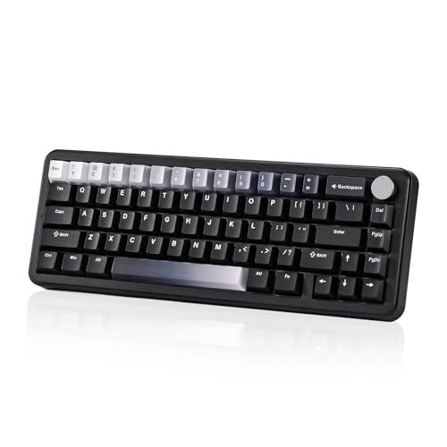 YUNZII B68 65％ ワイヤレスメカニカルキーボード ゲーミングキーボード BT5.0/2.4GHz/有線 ホットスワップ対応 ガスケットキーボード RGBバックライトWin/Mac用 技適認証取得 (ブラック, ミルクリニアV2スイ ea4e6bac
