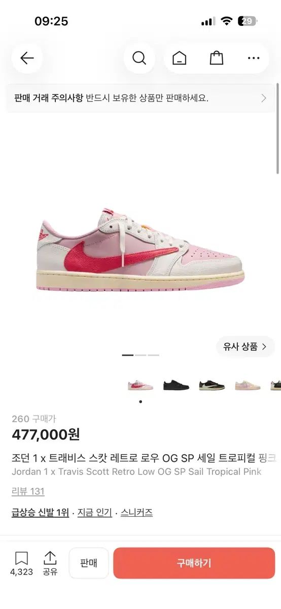 スコット 260