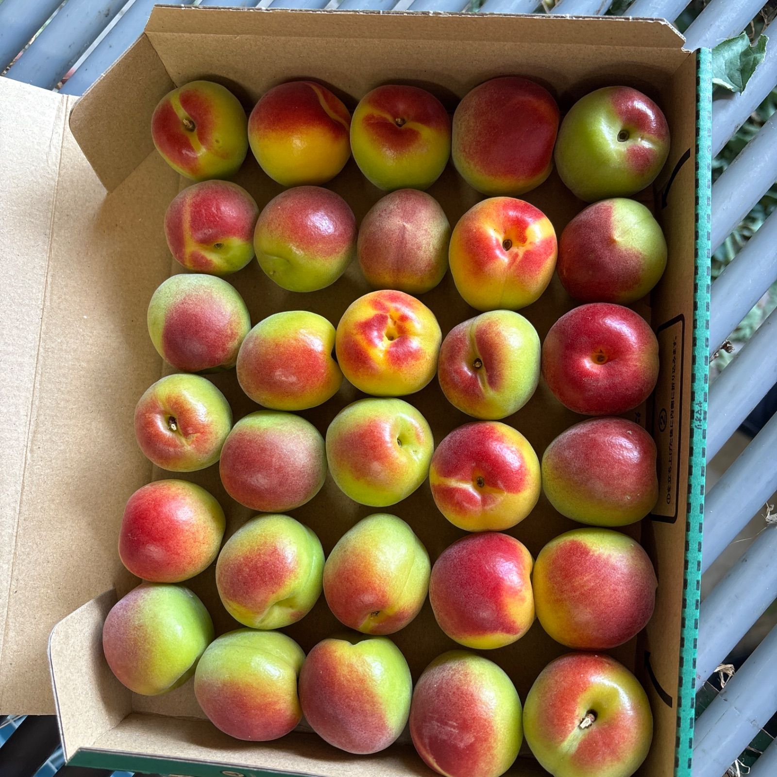 専用ページ 和歌山県産 紀州紅南高梅 3L4Lサイズ 4kg