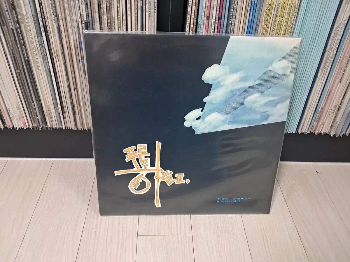 LP ブルースカイ 2 家 ( 1989 年) 涙ぐみ ある日に