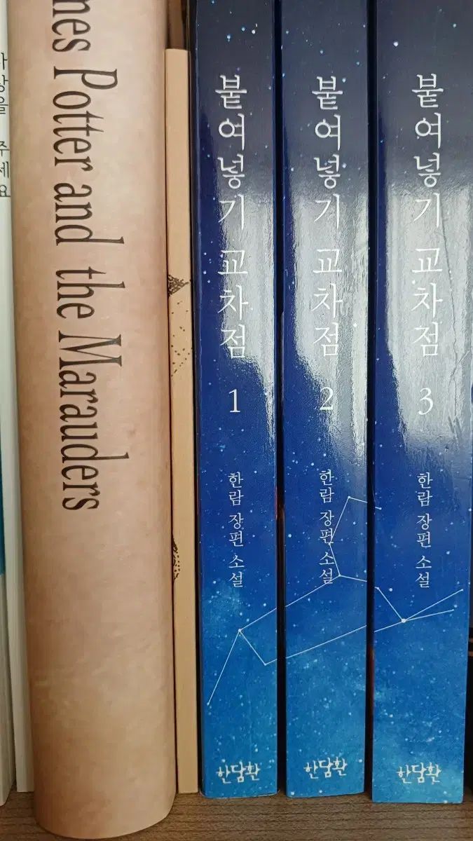 ハリーポッター(harry potter) 個人の所蔵用 パロディ 出品