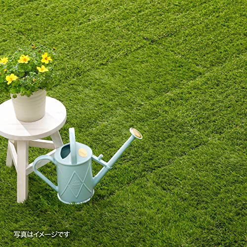 タカショー タイル 人工芝 ベースアップデッキ 9枚セット 約0.8平米用 高さがあるので掃除が楽らく清潔 簡単設置 30×30cm ベランダ 庭 ジョイントタイル【JBG-BAT/9S】★m da216aa9 タカショー タイル 人工芝 ベースアップデッキ 9枚セット 約0.8平米用 高さがあるので掃除が楽らく清潔 簡単設置 30×30cm ベランダ 庭 ジョイントタイル【JBG-BAT/9S】★m da216aa9