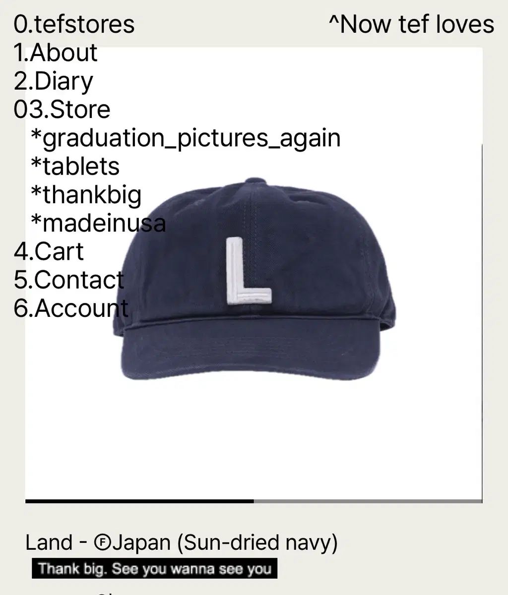 L テフストアーズ Lロゴ 新品