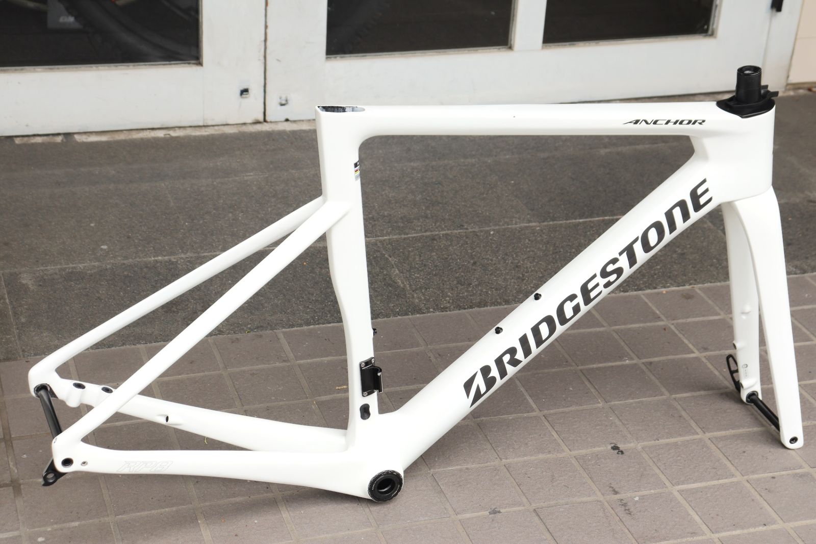 ブリヂストン アンカー BRIDGESTONE ANCHOR RP8 2023モデル 490サイズ 