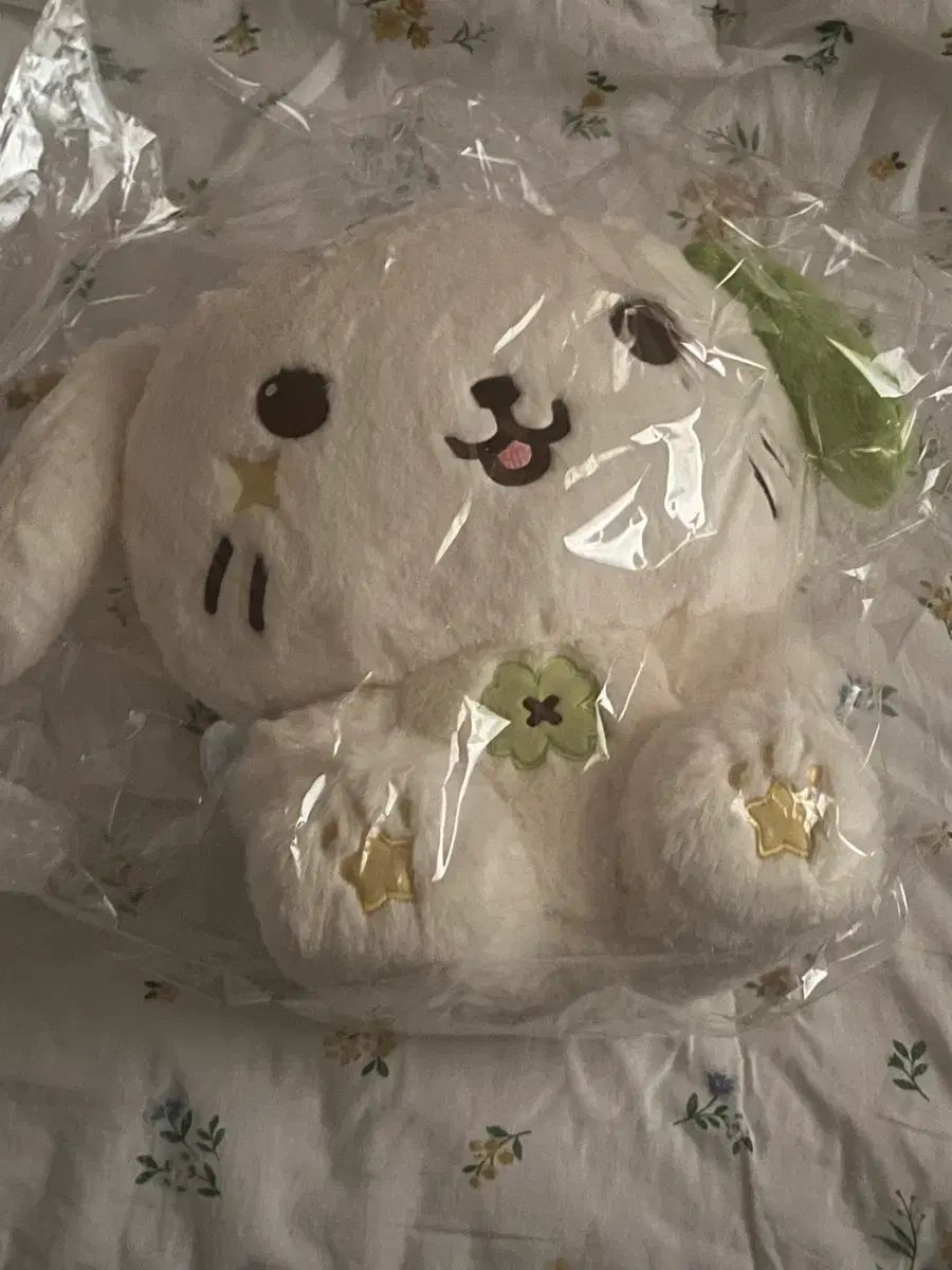 30cm WIND AND WISH ドール 룐룐