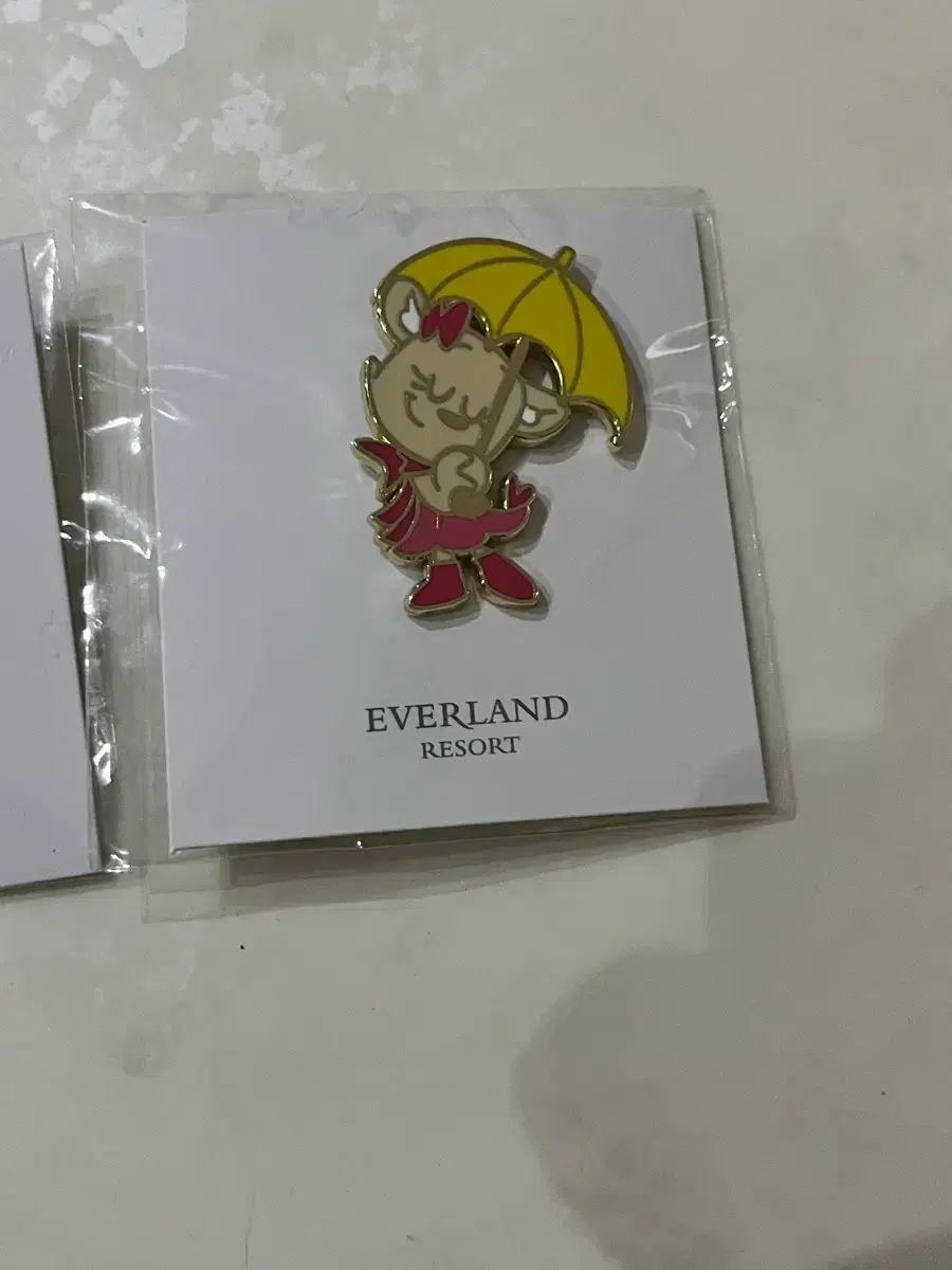 EVERLAND レイン デイ ビ バッジ 新品