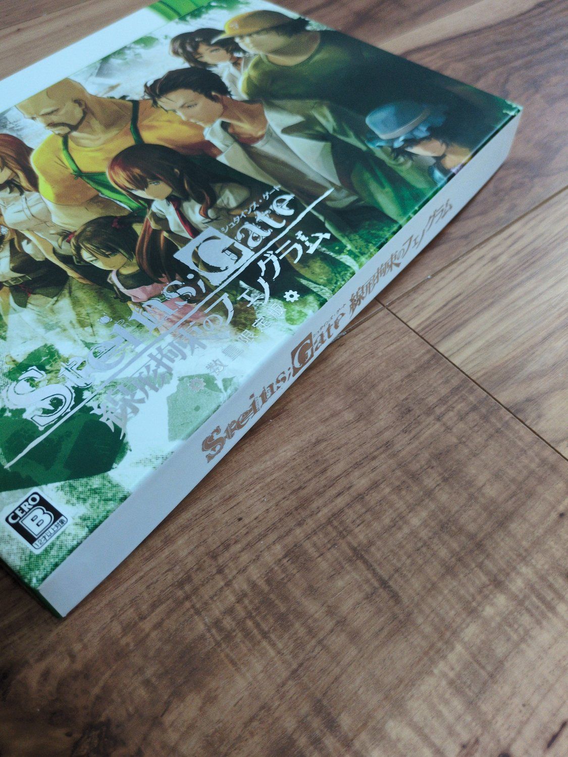STEINS；GATE 線形拘束のフェノグラム 数量限定版