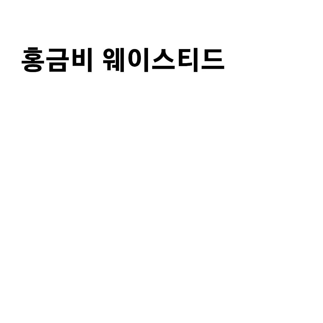 홍금비 ウェイスティッド タートルネック 出品