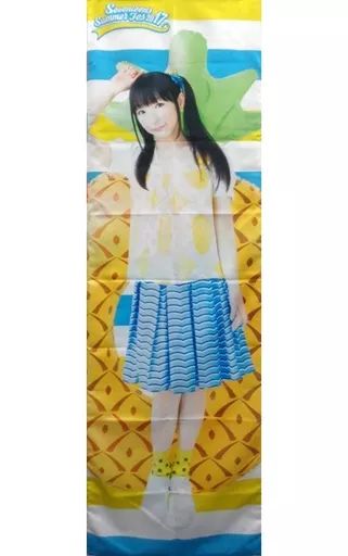 堀江由衣 ほっちゃん　抱き枕カバー Summer 黒ネコ集会 中古】抱き枕カバー・シーツ(女性) 堀江由衣 ほっちゃん抱き枕カバー