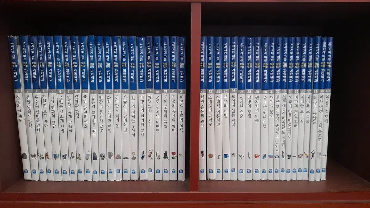 教科書に沿った学習漫画 科学バッグ百科 40巻 全集 (韓国 デカルト)