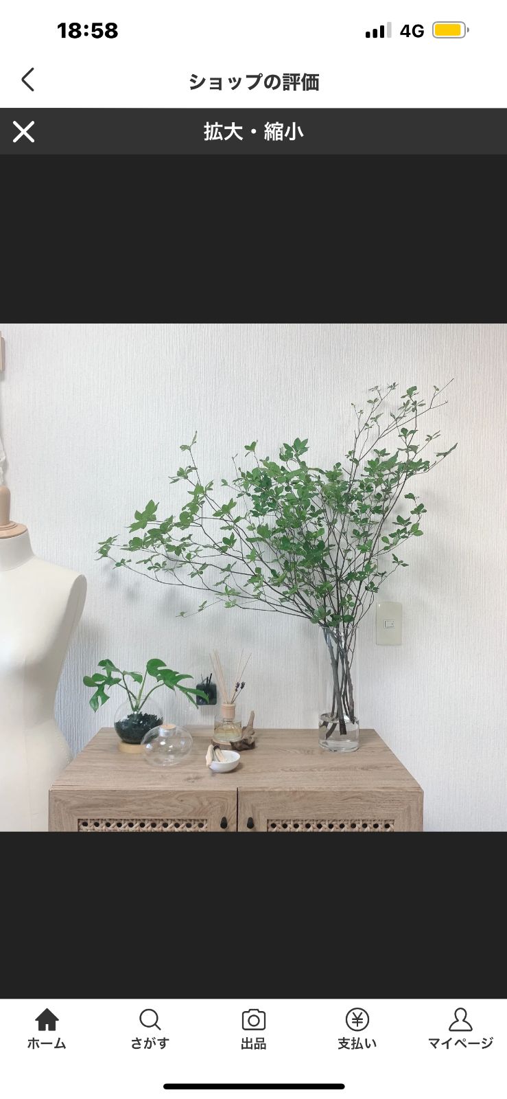 生花❣️ドウダンツツジ🍀80〜90cm×3本セット‼️✨ - メルカリ