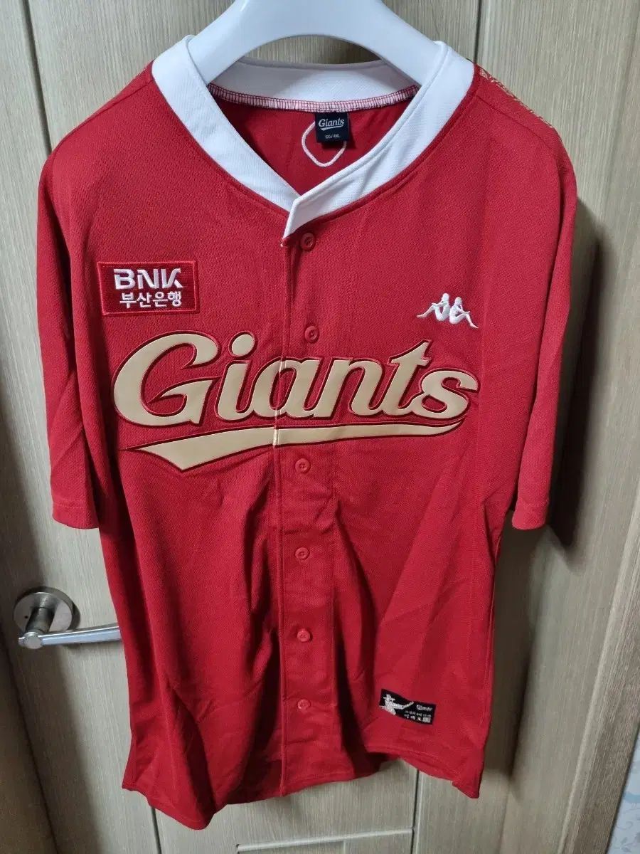 ロッテ・ジャイアンツ 李大浩（イ・デホ）引退記念 プロフェッショナル 4XL120
