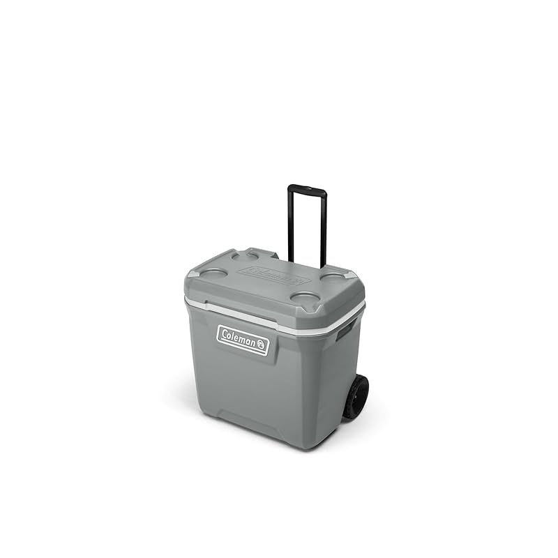 Coleman(コールマン) クーラボックス 316シリーズ 65QTハードクーラー 保冷力約5日 約61L キャンプ アウトドア 釣り 防災 運動会 お花見 部活 暑さ対策