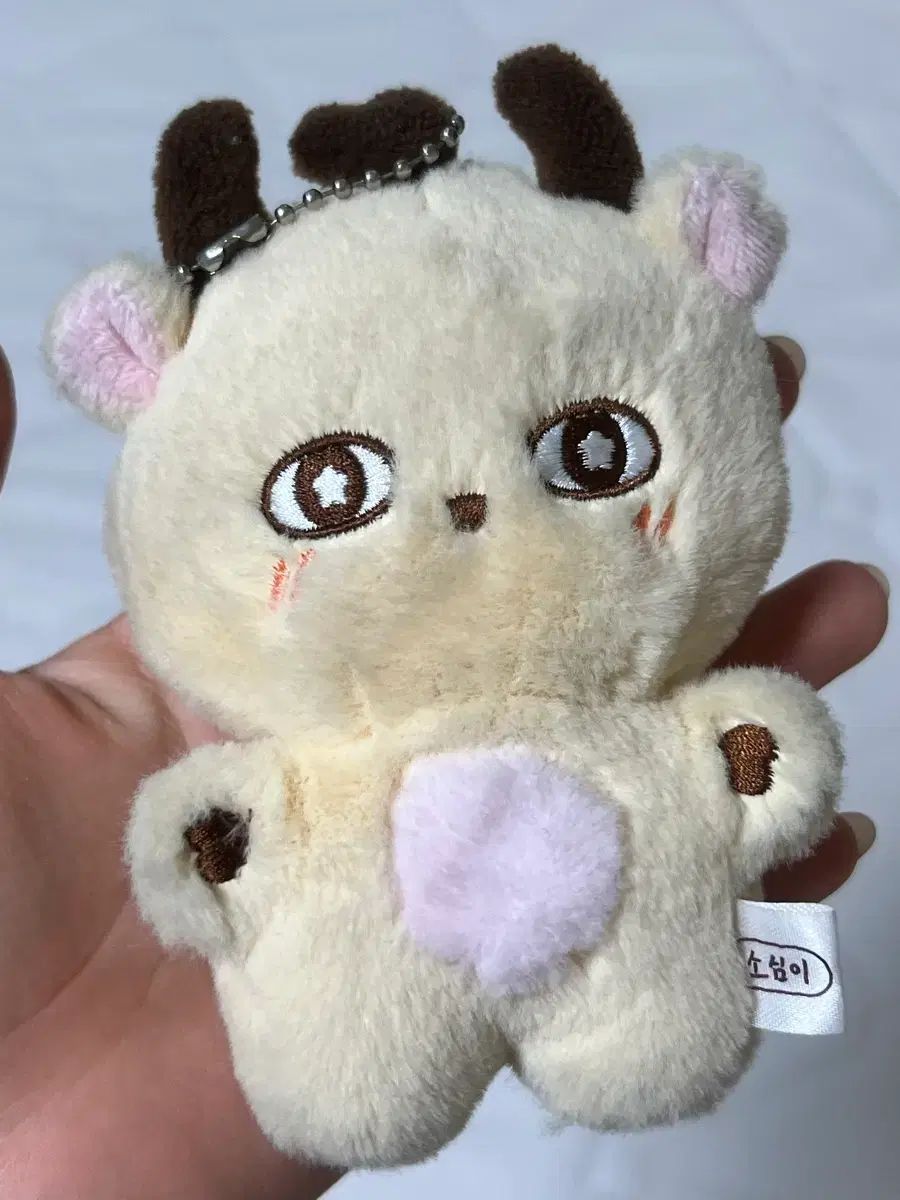 パク・ジフン(PARK JIHOON) ぬいぐるみ IN ジフン(JIHOON) ソシミ