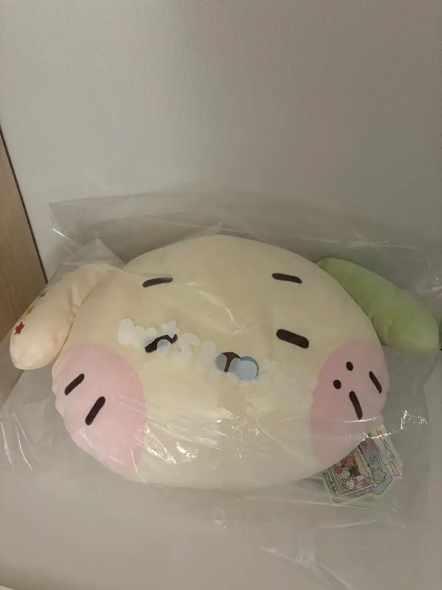 NCT(エヌシーティー)WISH LINE FRIENDS WISH ninini クッション