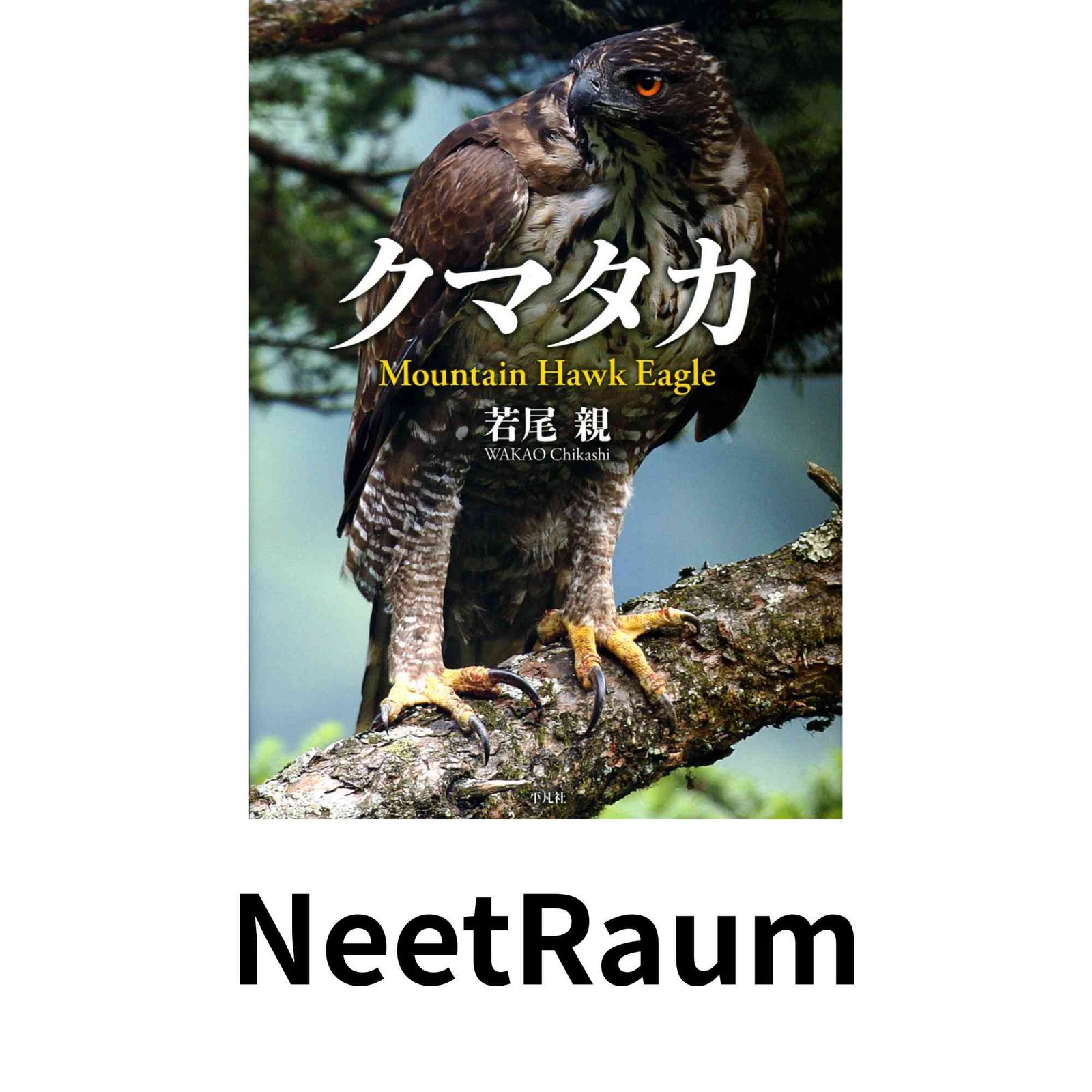 クマタカ [大型本] 若尾 親