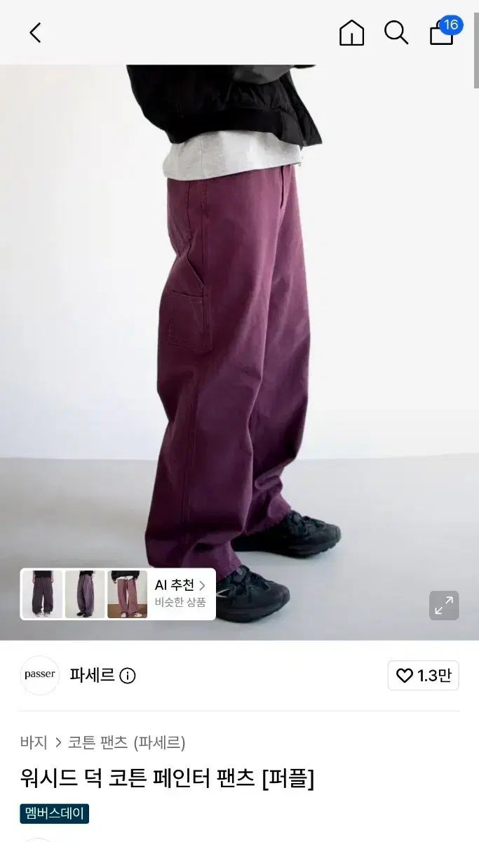 パセー ウォッシュド ダック コットン ペインター パンツ